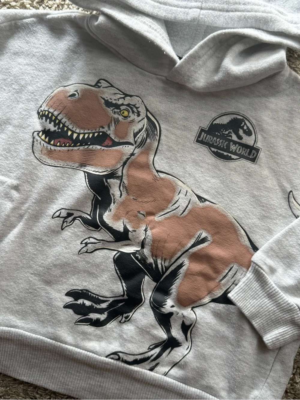 Jurassic World Toddler Hoodie & Jogger Set Size 2T Gray Dinosaur Sweat Set